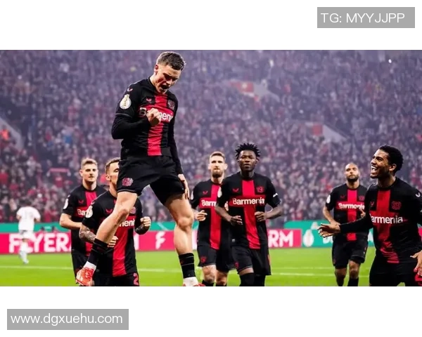 霍芬海姆与勒沃库森实力分析及比赛前景展望